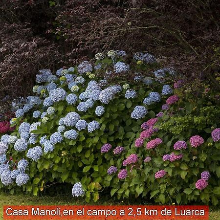 Гостевой дом Casa Manoli Luarca Альмунья Экстерьер фото