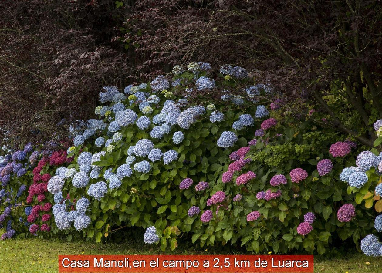 Гостевой дом Casa Manoli Luarca Альмунья Экстерьер фото